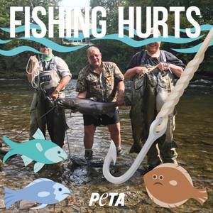 Meet your Posher, Greg